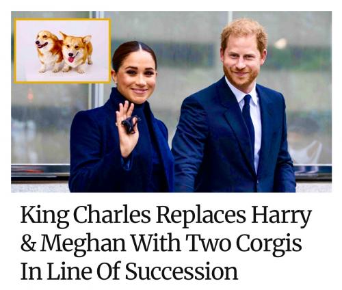 0FB8C311-1D7F-44E7-8068-7B62C097E788