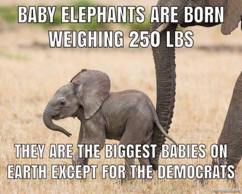 FB_IMG_1662606142160