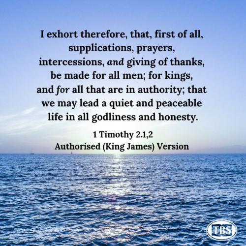 ee99ed61e5771c865a4abf325a6cb2c4