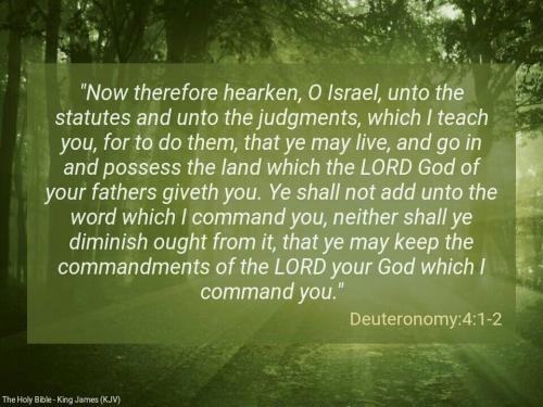 DEUTERONOMY412