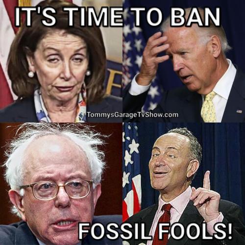 Time to Ban Fossil Fools
