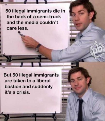 USA 50 illegals