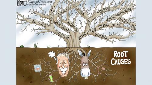 root-causes