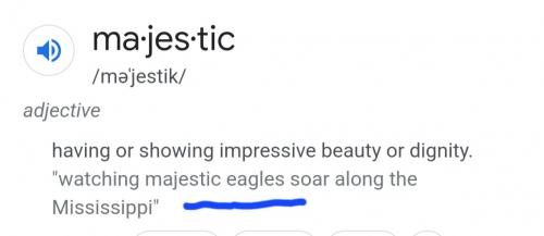 Screenshot_20220928-060444_Google