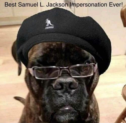 2FE46B17-4F57-43C2-8AE4-7E507D59F4A6