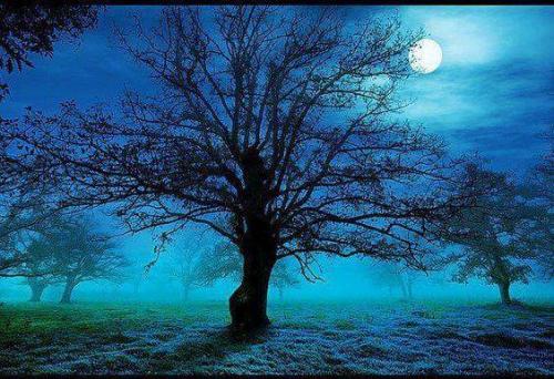 FB_IMG_1517492372322