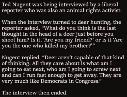 Nugent interview