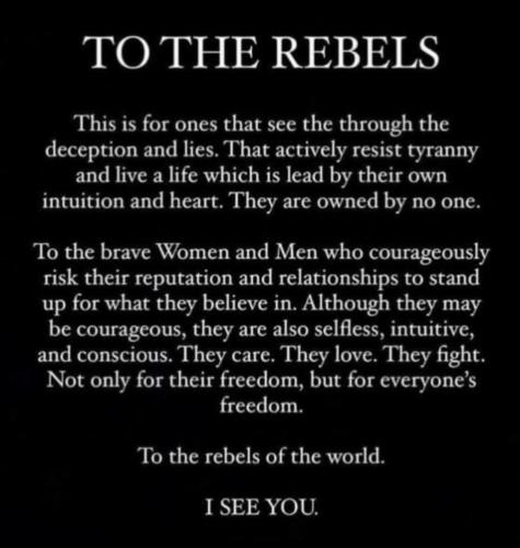 D8AA5100-6370-4E1C-9B6A-1BC6FD70BC51