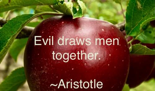 C132EFBB-4CA4-487A-BB35-0B915F57EEE5