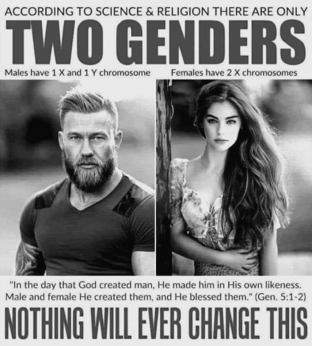 M two genders