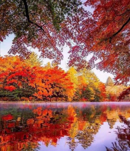 40443ebc-bb4d-40da-88fe-ce8825fa7cf9