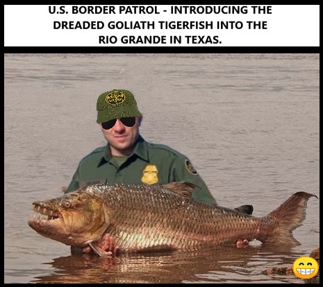 th-229588194_InPixio