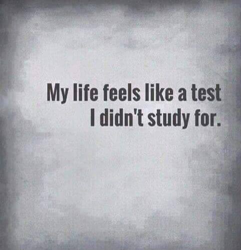Life - Feels like a test - I didn't study for