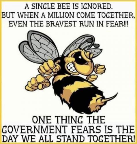 RO single bee