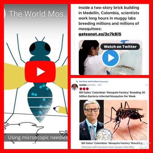 D909053E-82AC-40DA-AE7D-E4ACF37E84BB