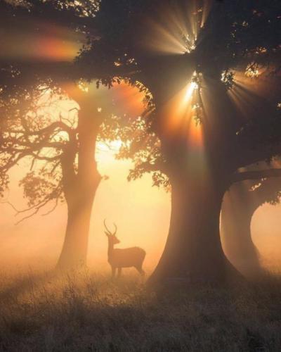 ac2eed03-e9ff-4985-ba1d-8a7ea1084760