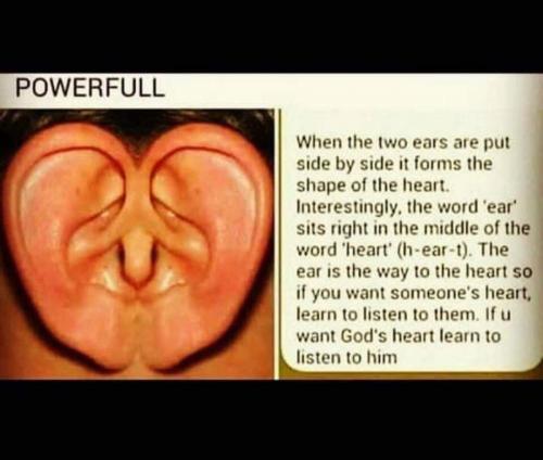 28e7e206-76cf-47d4-838b-0101b4343861