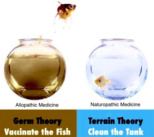 67C7BC61-C64B-43E3-9830-86BFE2E4D8B9