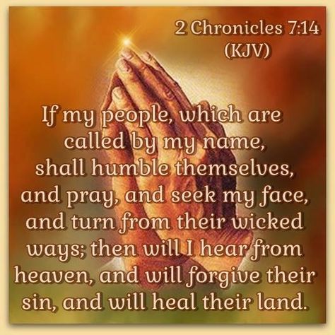 08cc559a25dbeeace93b4c3f7cf72fc6--quotes-bible-verses