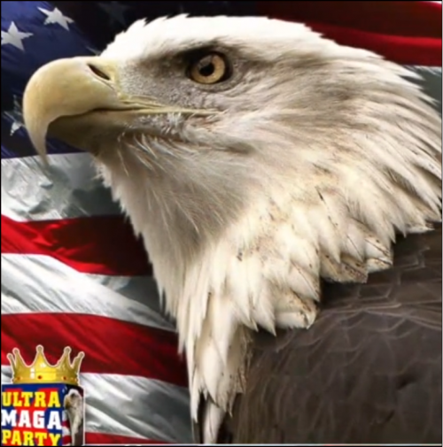 Screenshot 2022-09-05 154941