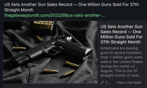 another gun sales record