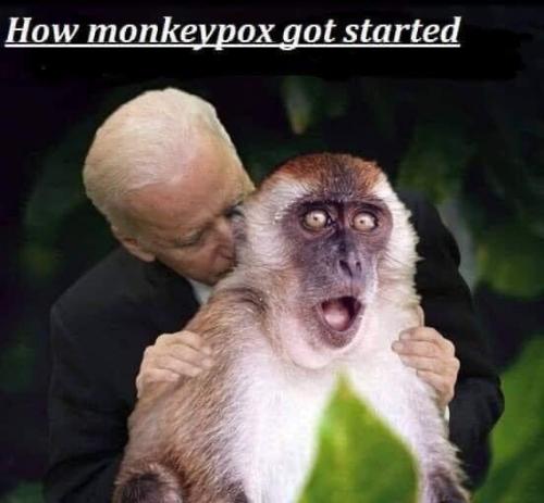 HOW MONKEY POX GOT STARTED