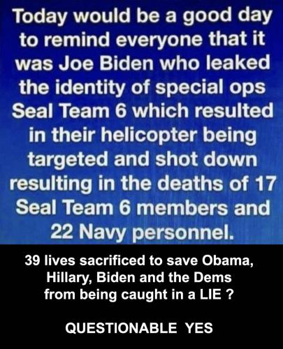 Seal team 6