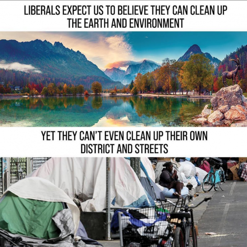 M Libs expect