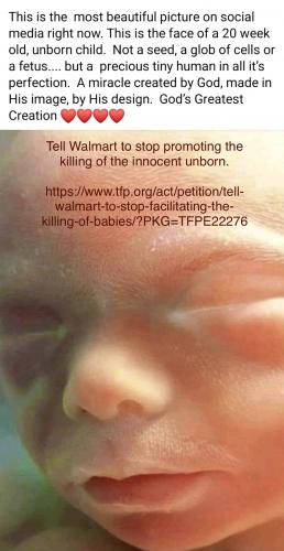 A2EDFC9E-EB2C-409D-95BE-BD2F2F5B3A77