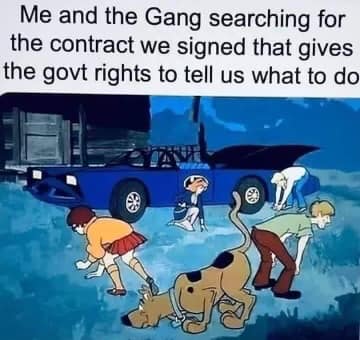 303173267_497526105522899_2488755000533708881_n