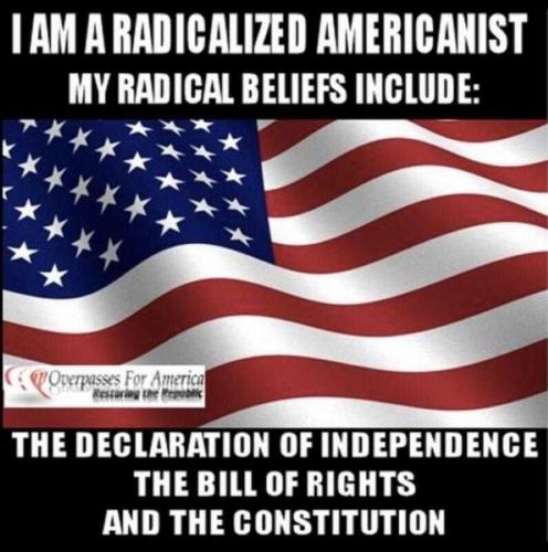 USA radicalized Americanist