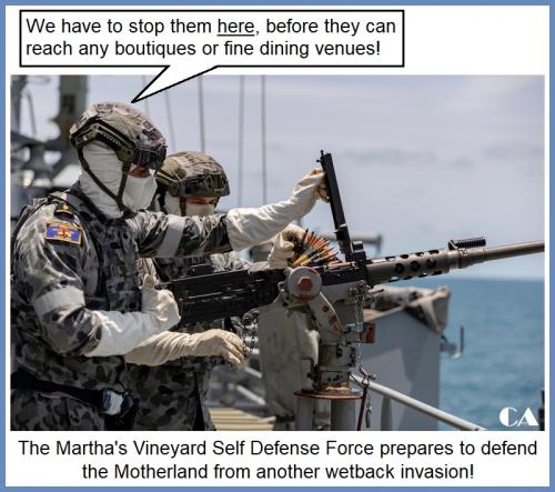 VVfa0Pd