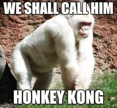 306980078_1218123725711345_6211521481439801217_n