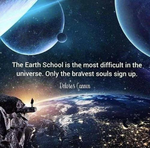 2a463b46-3cbd-489f-907a-0f0a75cab645