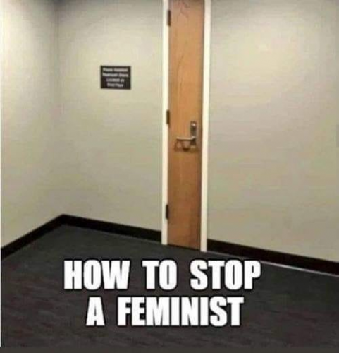 FEMINIST