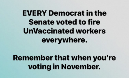 Remember in November