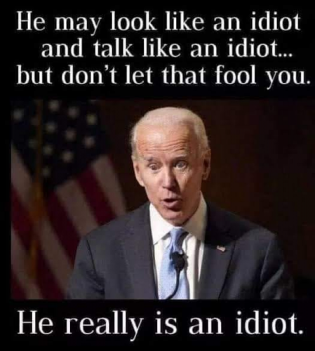 M idiot