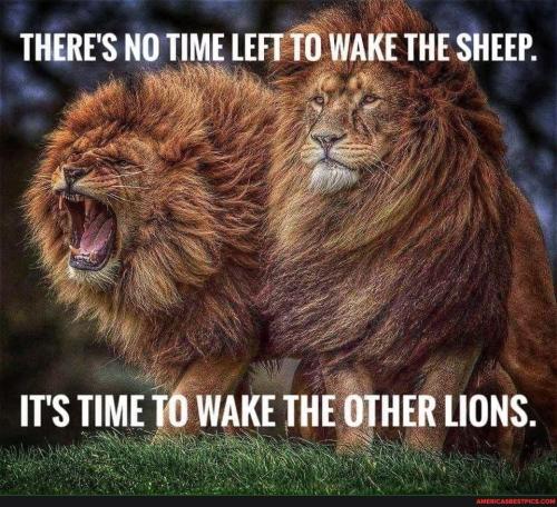 LIONSwakeUp