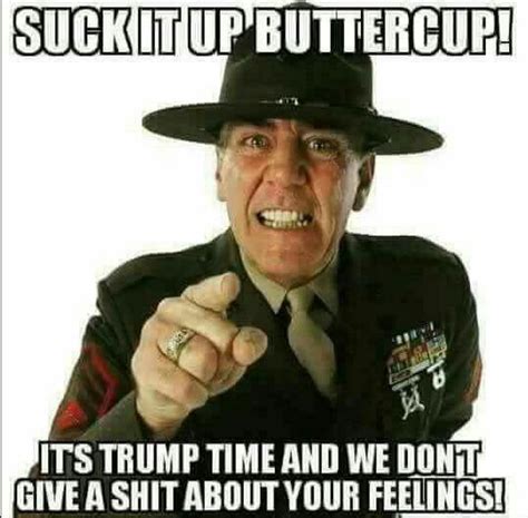 america 14