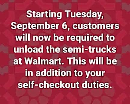 305928593_2608967802566911_6433930622212171165_n