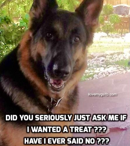 2ADD88F3-B989-41EC-903F-89230F7FA121