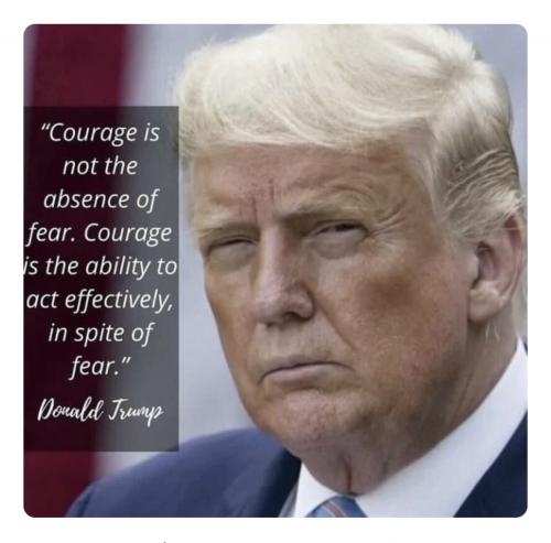 32B067E8-173B-47E9-97D4-FB1879160410