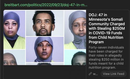 MN Somali stole 250M