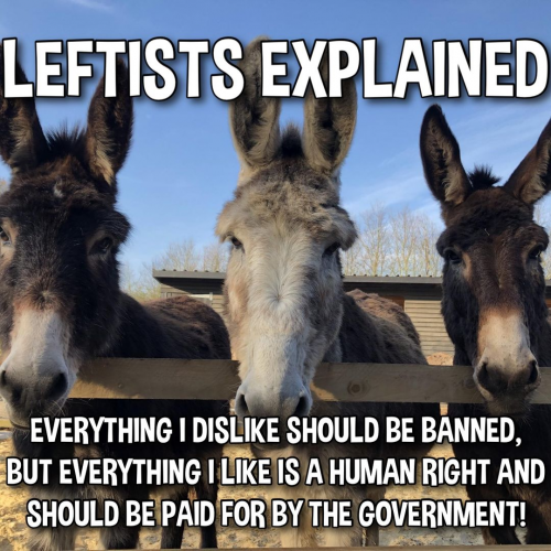 M Leftists