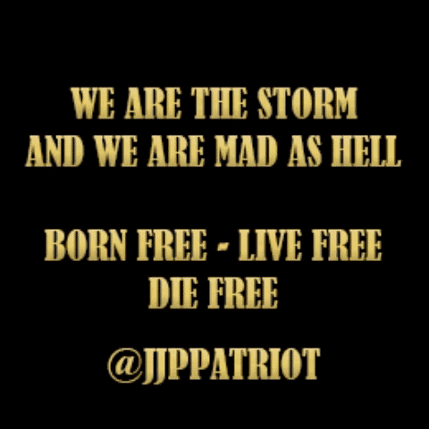 1-1-A-A-A-A-A-ALL-ABOARD-LION-NEW-BLK-BORN-FREE-1