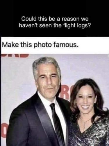 Logs