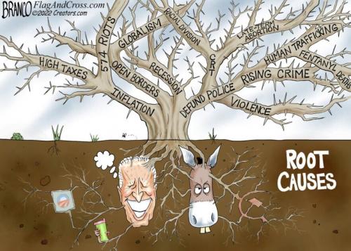 Root Cause