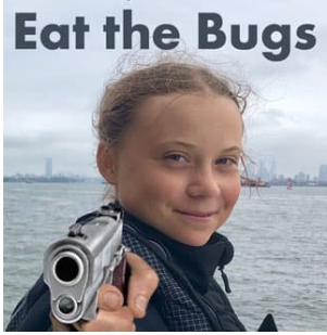 EAT THE BUGS AT GUN POINT