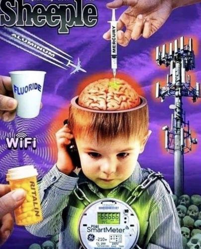 56238b30b0ef7aea