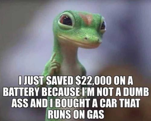 USA saved